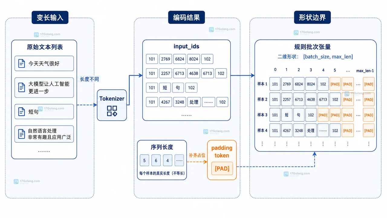 Hugging Face Transformers 批量输入中原始文本、input_ids、padding token 与规则张量的静态关系