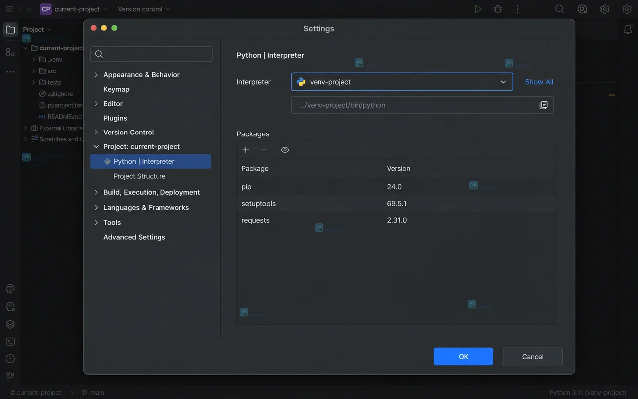 PyCharm Settings 的 Python Interpreter 页面显示目标虚拟环境、Python 路径和包列表