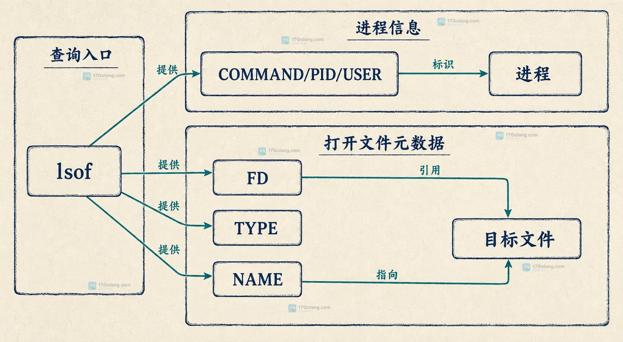 Linux 怎么查某个文件正被哪些进程使用