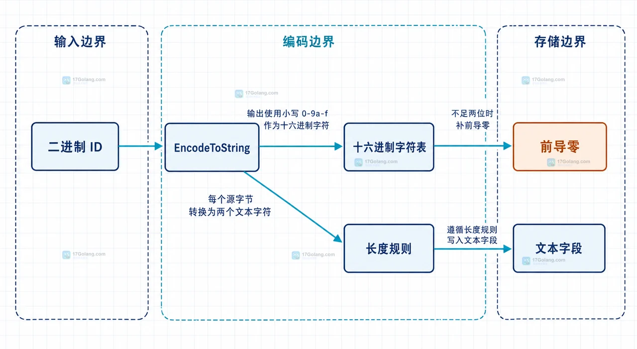 Go encoding/hex 怎么把二进制 ID 稳定转换成小写文本