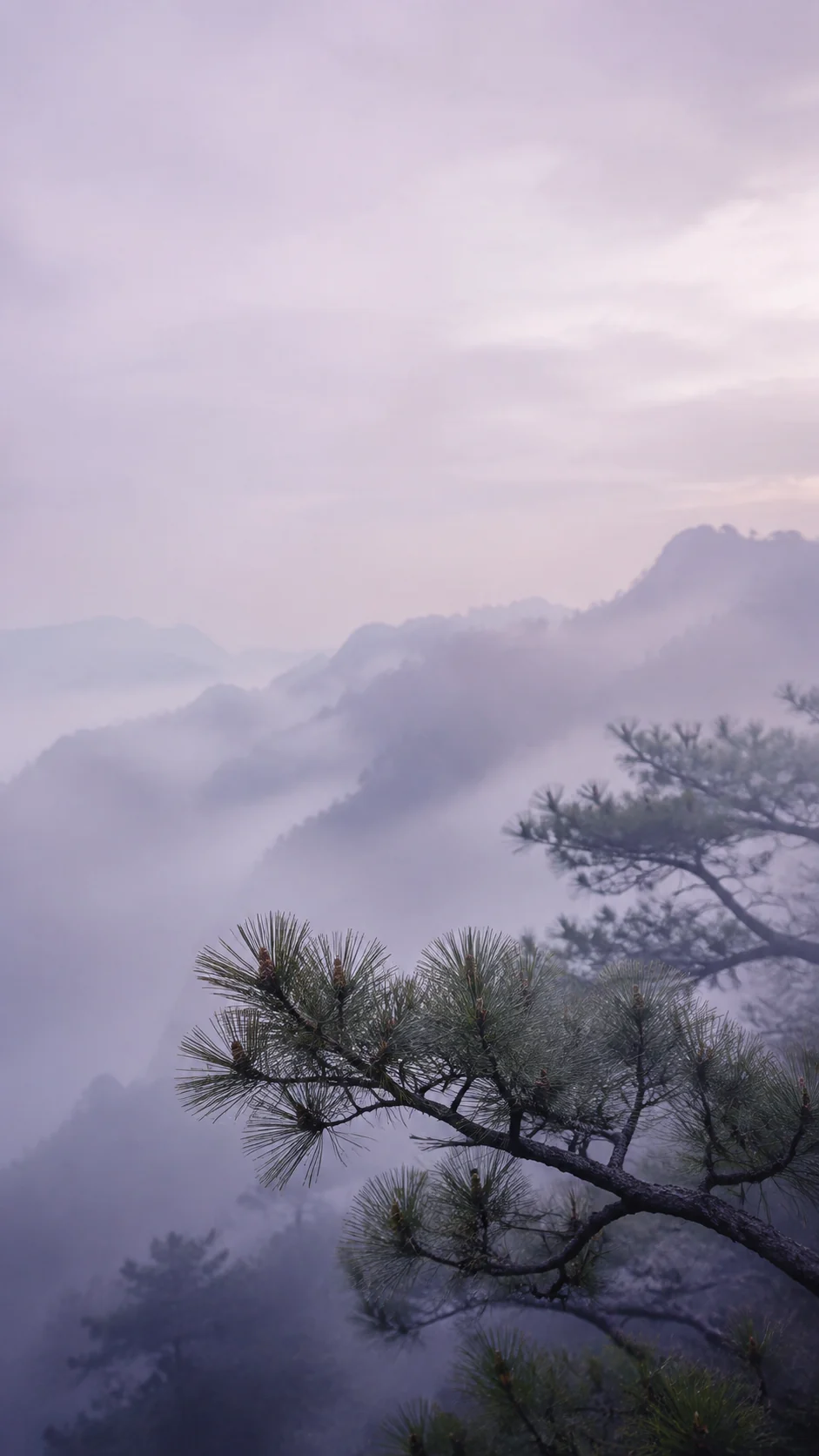 蓝灰雾光中的右下松枝手机壁纸变体,上方与中部保留图标负空间
