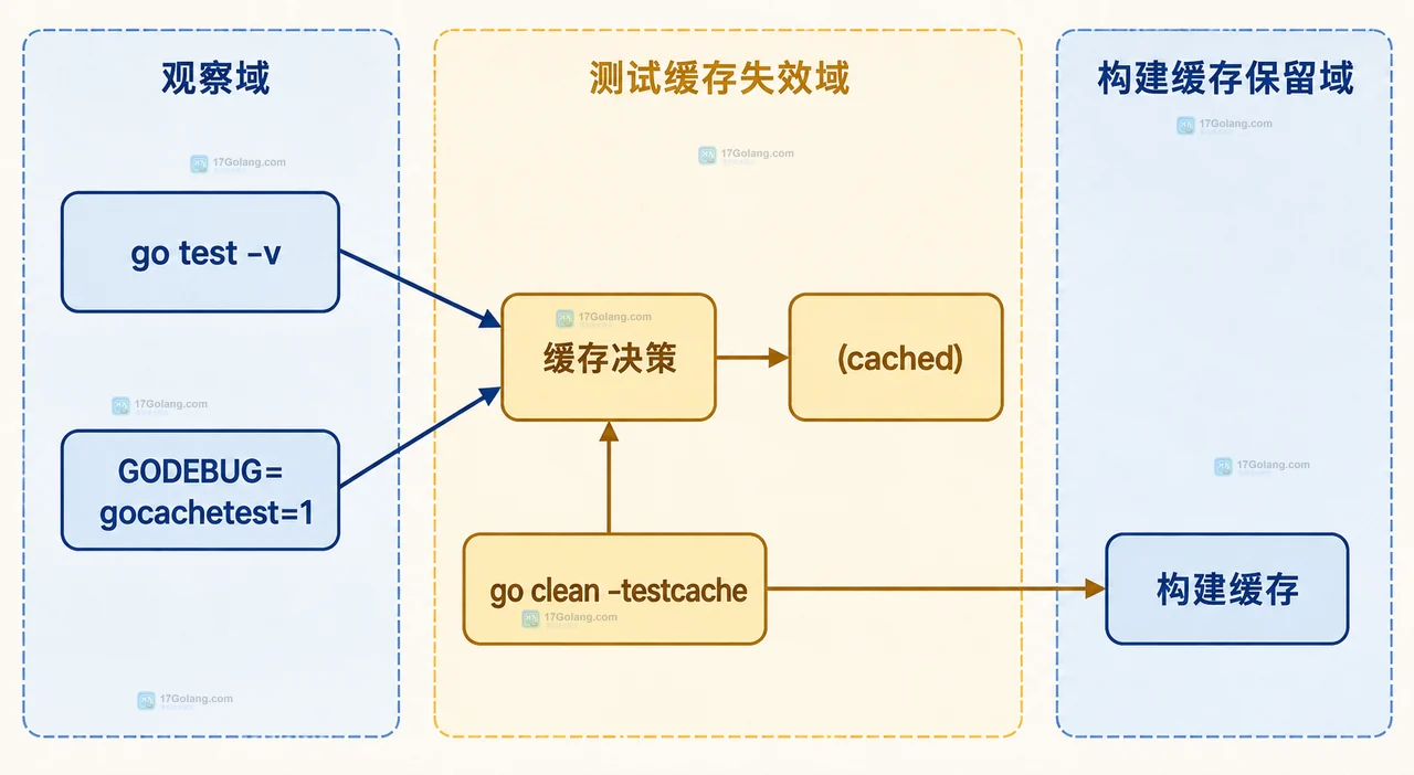 Go test、-count=1、测试二进制与成功测试结果缓存和构建缓存的双域关系图
