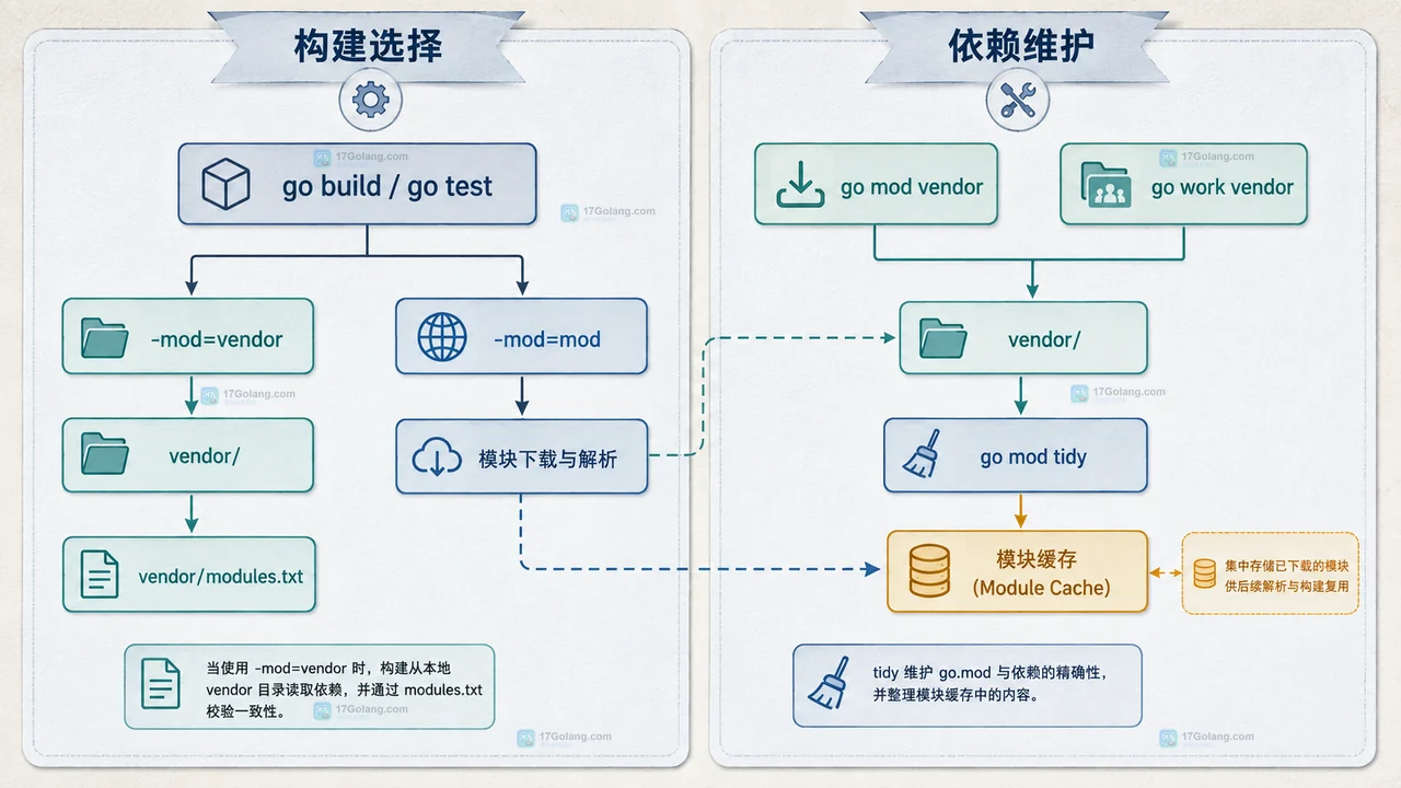 Go mod vendor 主模块根目录、go.mod、vendor 和 module cache 的静态边界关系图
