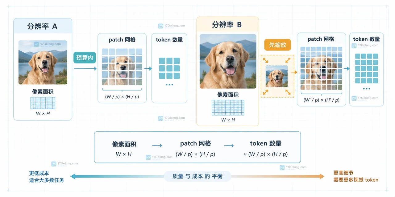 多模态模型图片输入太大时怎么在服务端做尺寸预算