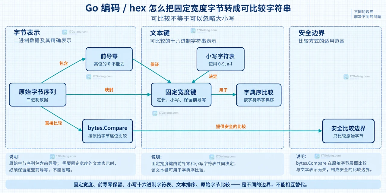 Go encoding/hex 怎么把固定宽度字节转成可比较字符串