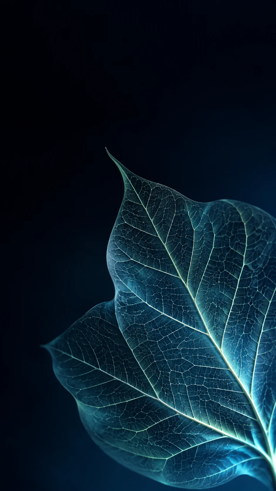 薄荷绿透明叶脉手机壁纸怎么做出干净的 OLED 对比