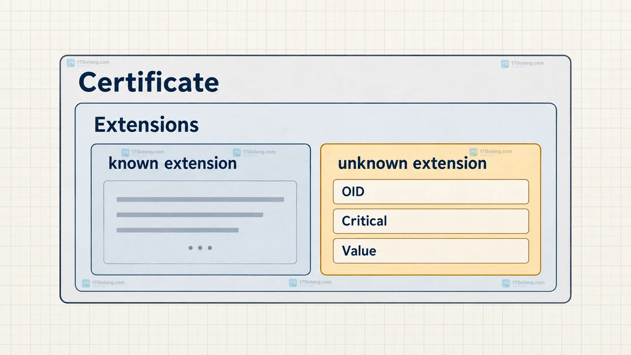 Go x509.ParseCertificate 读取扩展字段时怎么保留未知数据