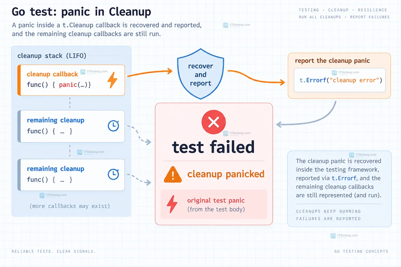 Go testing.T.Cleanup 清理回调 panic 时怎么处理