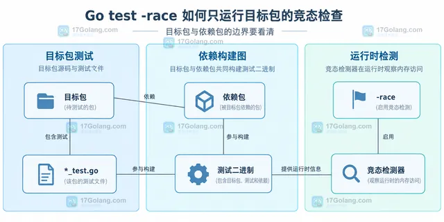 Go test race 单包检查的包路径、竞态开关和测试二进制静态关系示意图