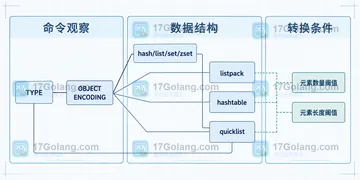 Redis OBJECT ENCODING 变化为什么会影响性能判断