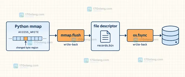 Python mmap 局部刷盘对齐、ACCESS_COPY、文件缓冲和关闭顺序的边界关系示意图