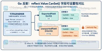 Go reflect.Value.CanSet 为 false 时如何区分未导出字段和副本