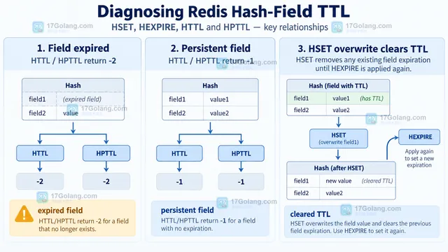 Redis Hash key 与 field 过期边界以及 HGETALL 返回剩余字段的结构示意图