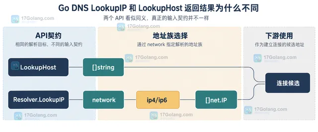 Go LookupHost 与 Resolver LookupIP 的地址族参数和返回类型边界结构示意图