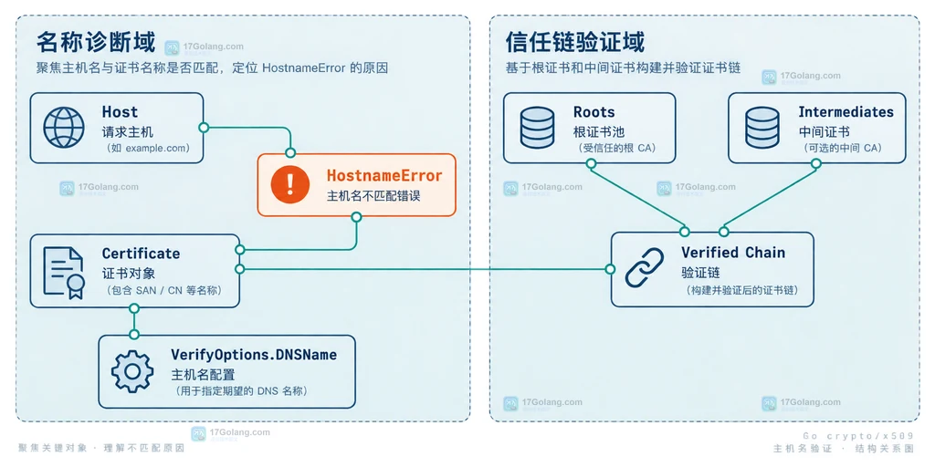 Go crypto x509 主机名匹配说明图,展示证书、VerifyHostname、DNSNames、IPAddresses 与名称错误的边界关系