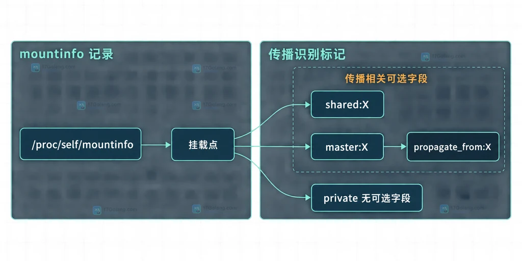 Linux mount namespace 中 shared、slave、private 三种挂载传播方向的静态结构说明图