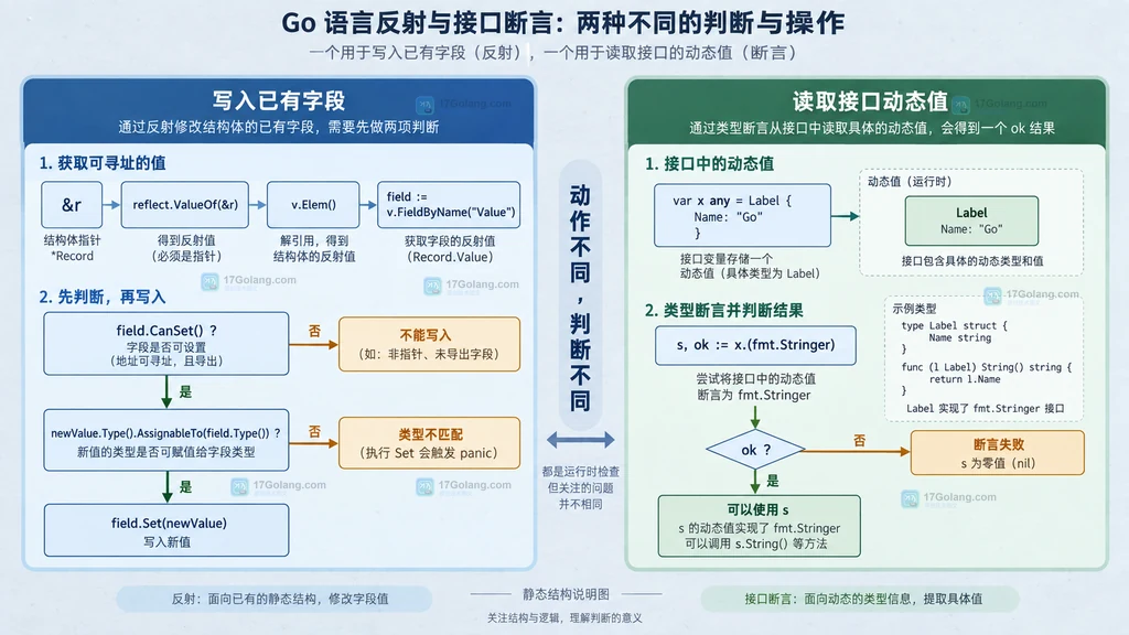 Go reflect AssignableTo 与接口断言边界说明图,展示可设置字段和动态接口值的关系