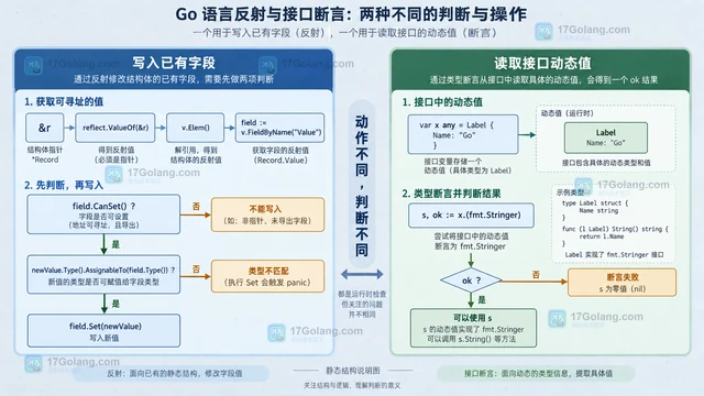 Go reflect判断类型转换与断言边界的参数对比