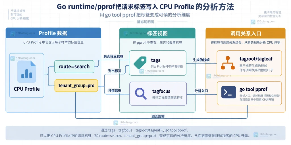 Go CPU Profile 标签从 route 和 tenant_group 到 tags、tagfocus、tagroot 分析入口的静态关系图