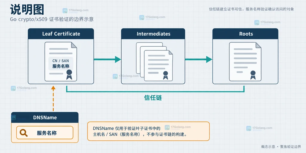 Roots、Intermediates、叶证书与DNSName之间的静态关系说明图
