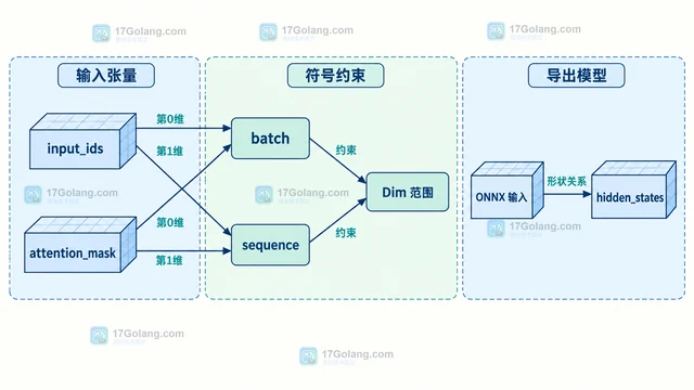 ONNX 导出怎么声明动态批次和动态长度