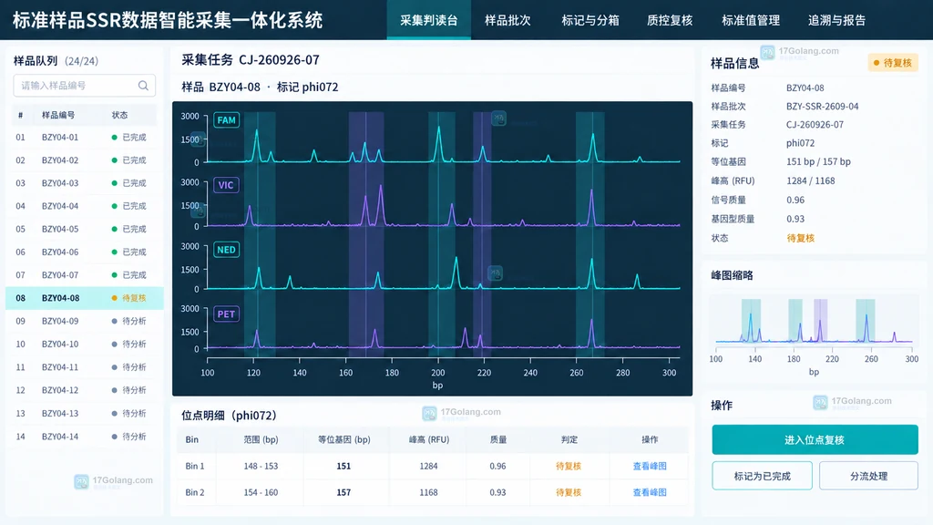 FieldsPerRecord 零值、首条记录和后续记录字段数校验的静态关系图