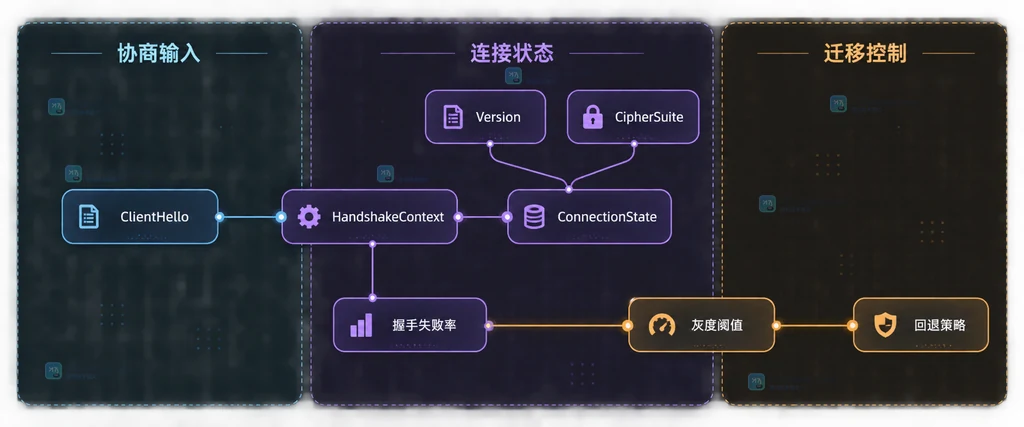 Go TLS 协商输入、连接状态和迁移控制指标的静态结构图