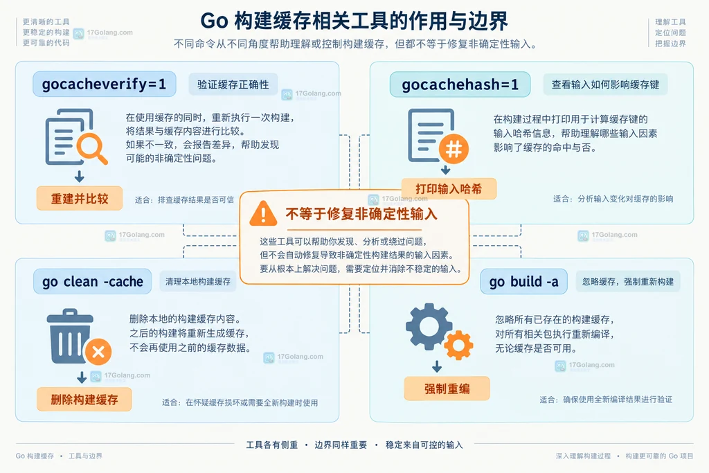 Go gocacheverify、gocachehash、go clean -cache 与 go build -a 的排查边界静态结构说明图