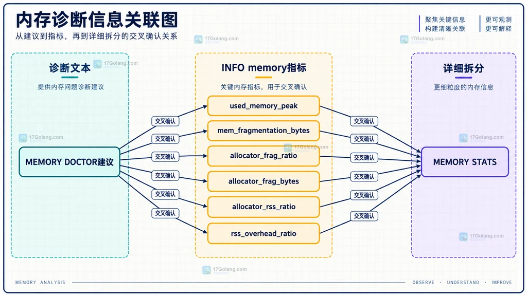 MEMORY DOCTOR 建议按峰值、总 RSS、分配器、进程和连接缓冲分类的关系图