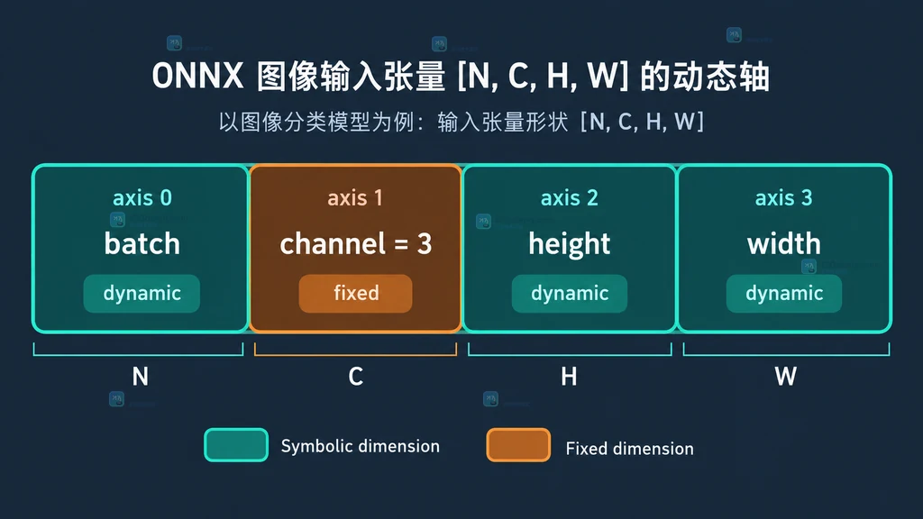 ONNX 图像输入四个轴的静态结构图,batch height width 为动态符号,channel 为固定值 3