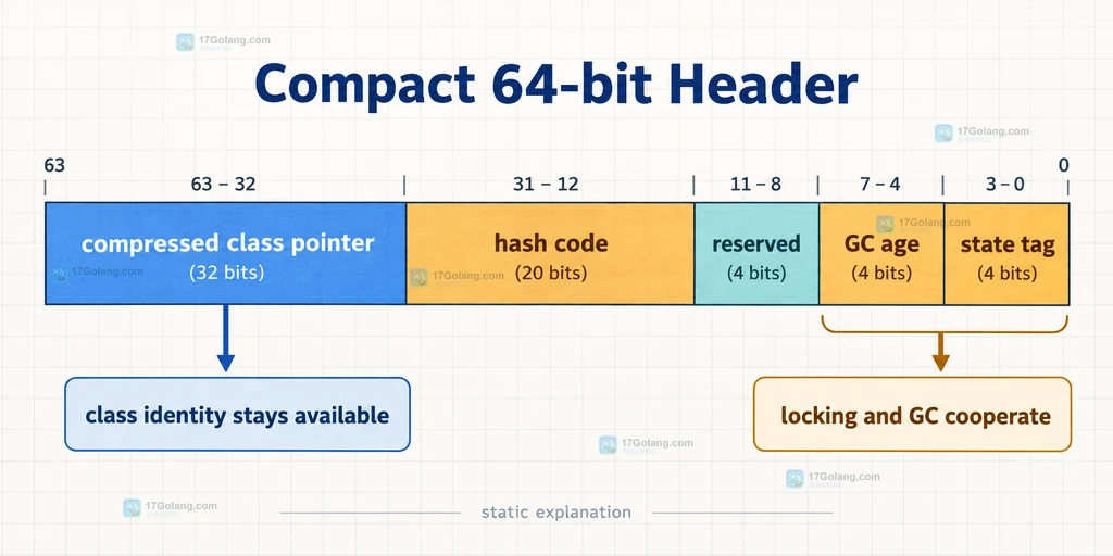 Java Compact Object Headers 对比传统 mark word 与 class word 的对象布局说明图