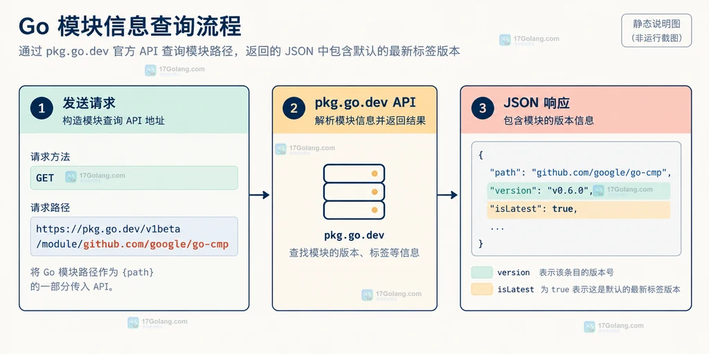 Go pkg.go.dev API 区分最新标签、指定语义版本、分支伪版本和版本列表的决策说明图