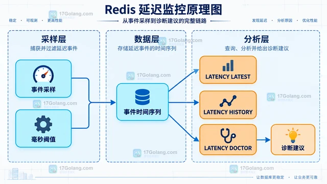 Redis SLOWLOG 和 LATENCY DOCTOR 应该分别看什么