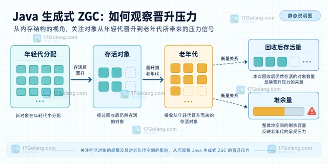 Java ZGC 分代模式下怎么观察晋升压力
