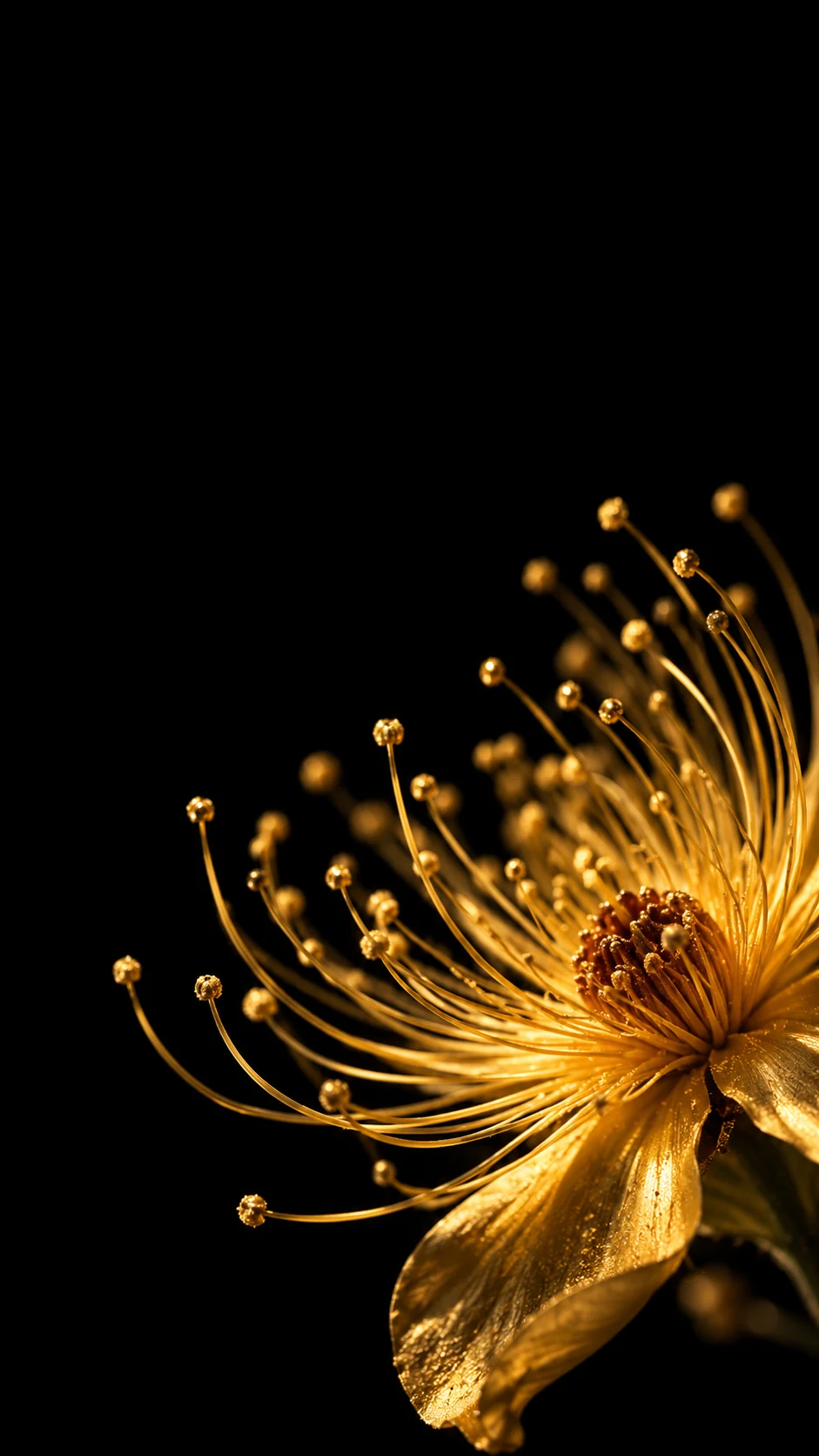 纯黑背景与右下斜向金色花蕊的 AMOLED 手机壁纸变体