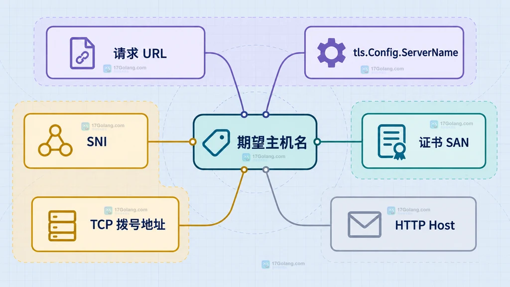 Go TLS 中请求 URL、ServerName、SNI、拨号地址和证书 SAN 围绕期望主机名的静态关系图