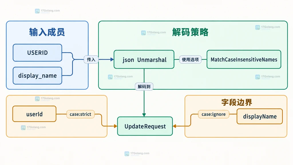 JSON 输入成员、Unmarshal 宽松匹配选项与字段级 case strict 和 case ignore 规则的静态关系图