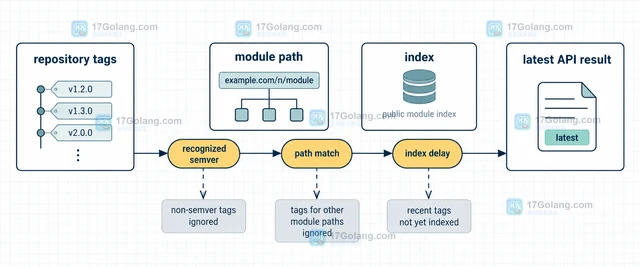 pkg.go.dev API 返回的最新版本为什么不是仓库最新标签