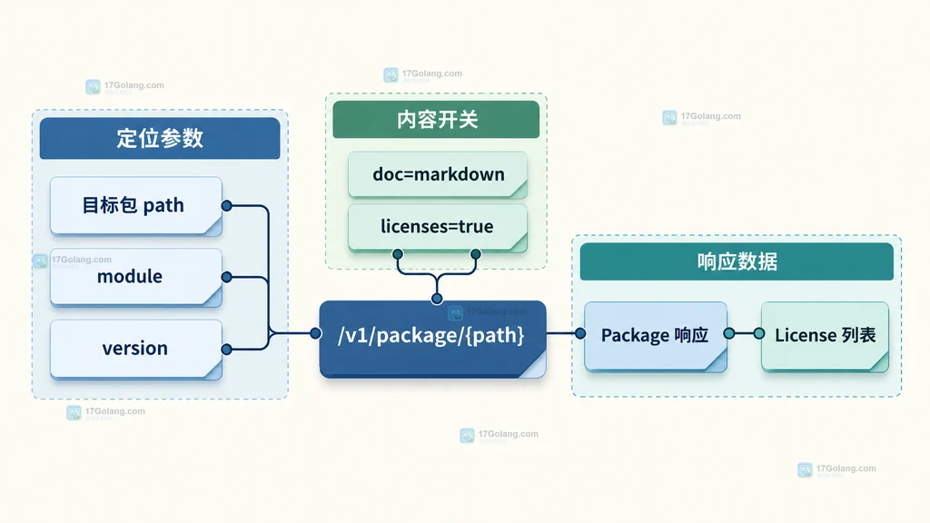 pkg.go.dev package API 的定位参数、内容开关和响应字段静态关系图