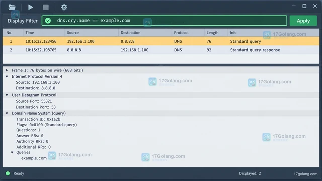 Wireshark 如何用显示过滤器追踪一次 DNS 查询