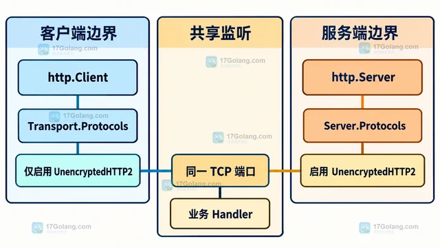 HTTP/2 明文模式连接失败应检查哪些协议设置