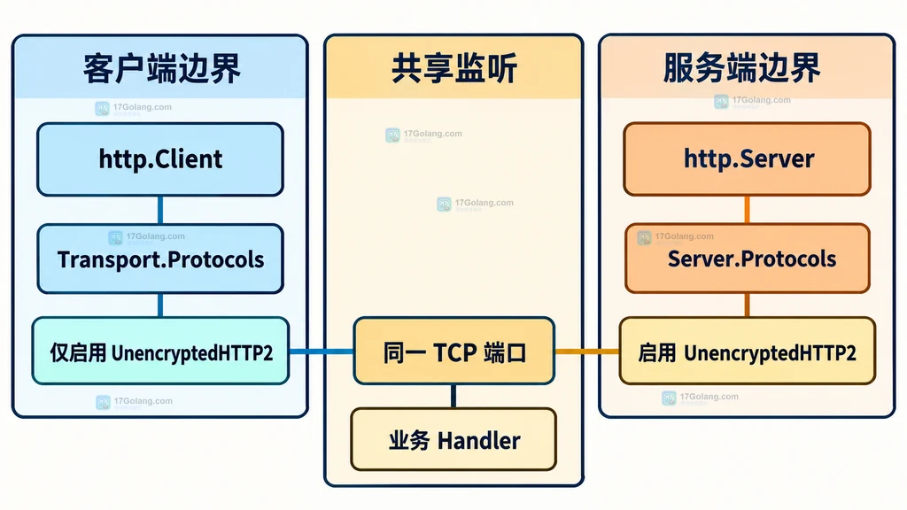 Go h2c 客户端 Transport Protocols 与服务端 Server Protocols 的静态配置关系图