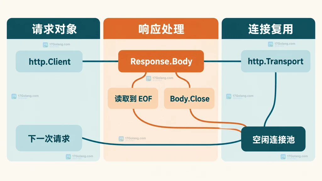 http Client、Transport、Response Body、EOF、Close 与空闲连接池之间的关系说明图