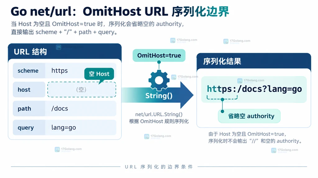 普通层级 URL、OmitHost URL 和 Opaque URL 三种字段语义与序列化边界对比图