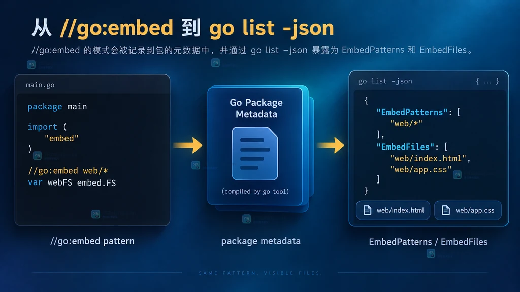 go list JSON 中嵌入模式与实际文件清单的关系说明图