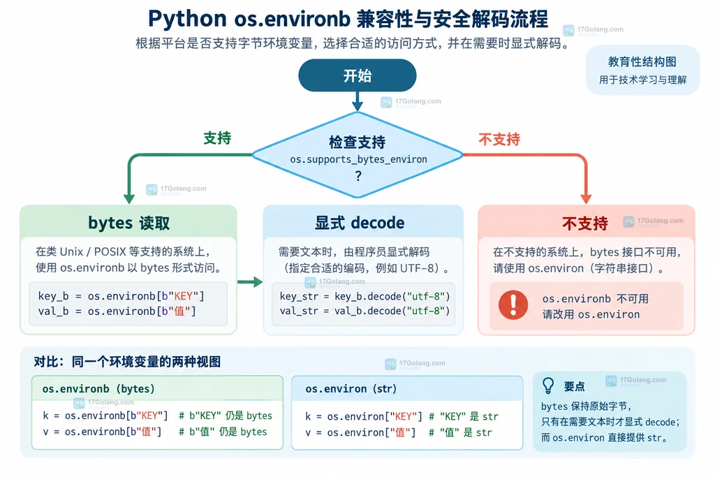 通过 os.supports_bytes_environ 判断后选择 bytes 读取或文本读取的决策流程图
