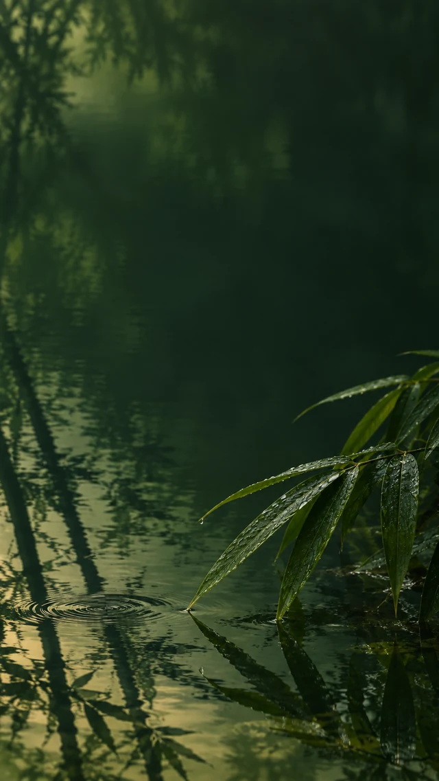 墨绿竹影与雨后水面手机壁纸提示词