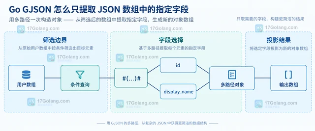 Go GJSON 怎么只提取 JSON 数组中的指定字段