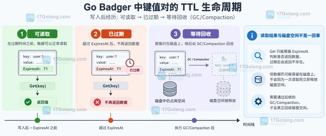 Go Badger 怎么给嵌入式键值数据设置过期时间