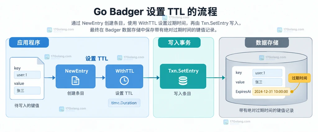 Badger NewEntry、WithTTL 和 Txn.SetEntry 写入链路